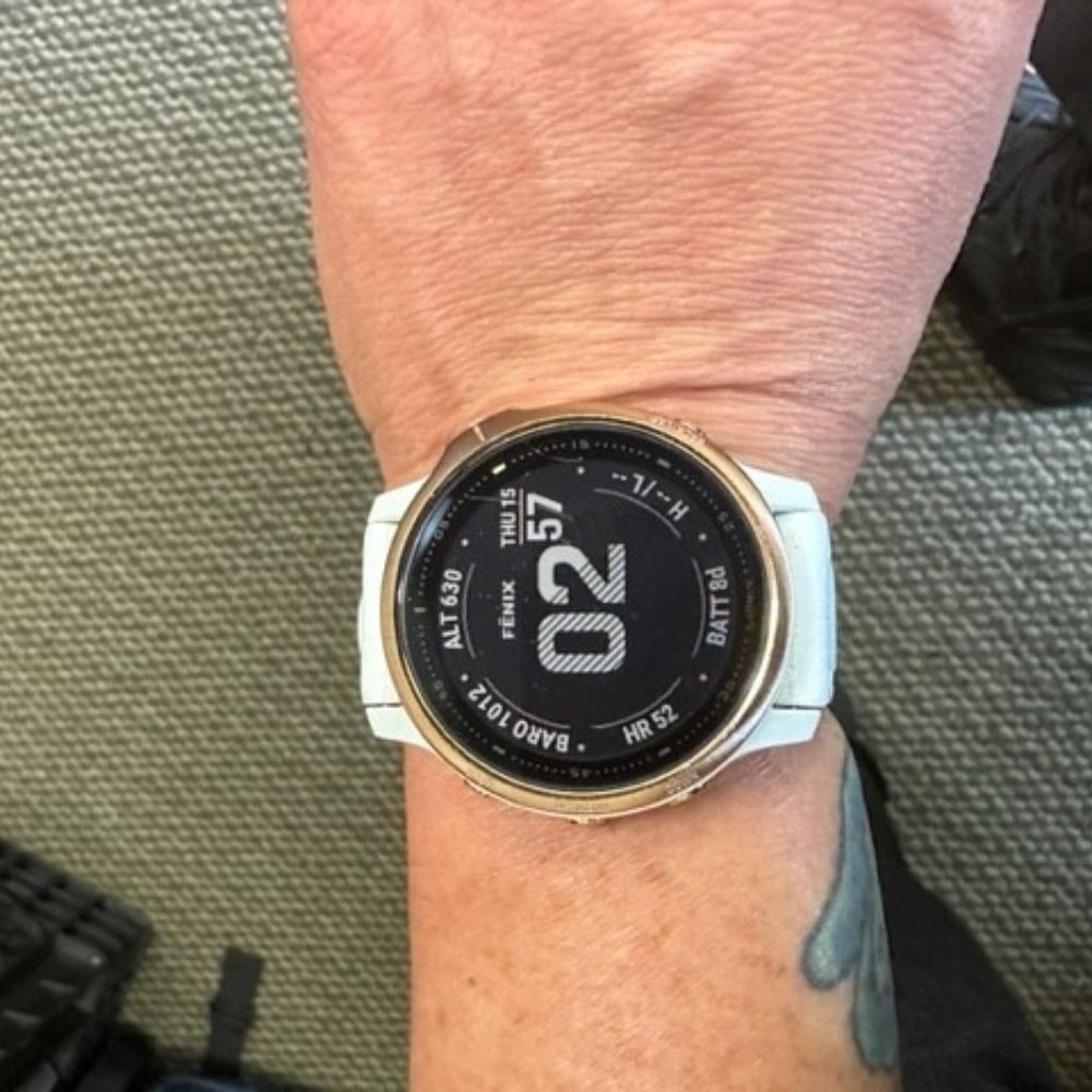 Garmin Fenix 6s pro